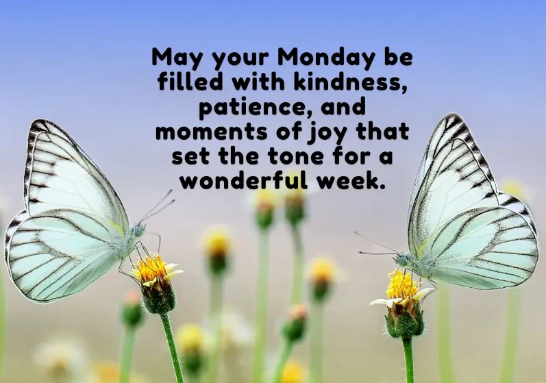 A Gentle Guide to Blessings for Every Day of the Week